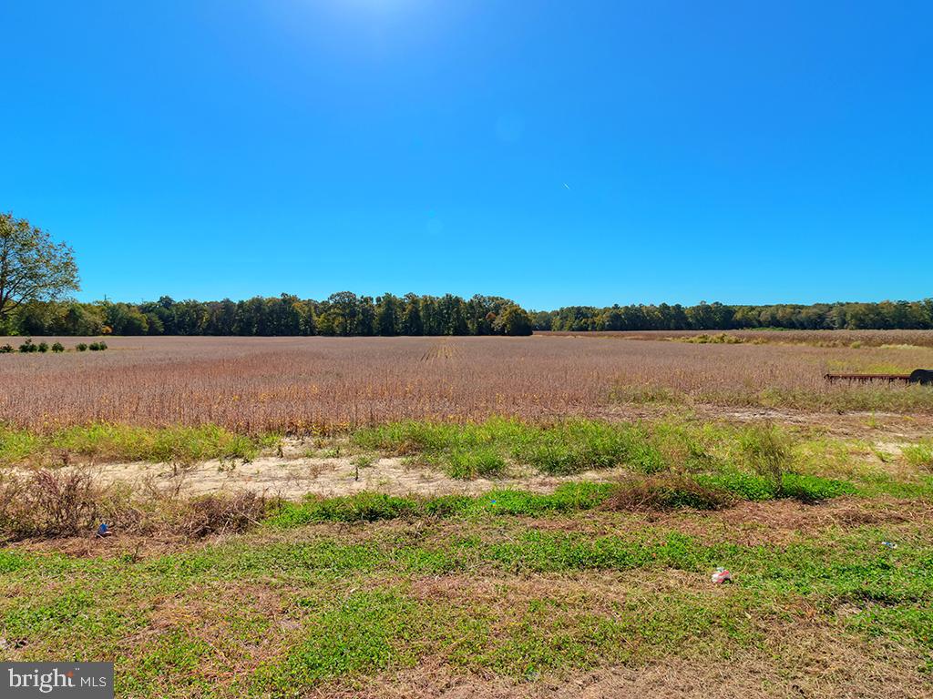 HARMONS Hl Rd MILLSBORO, DE 19966