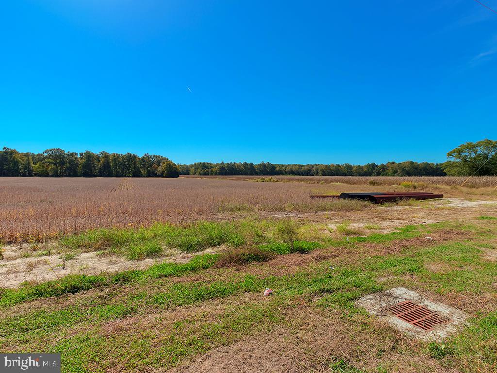 HARMONS Hl Rd MILLSBORO, DE 19966