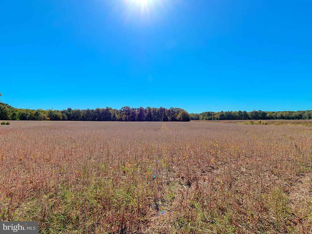 HARMONS Hl Rd MILLSBORO, DE 19966