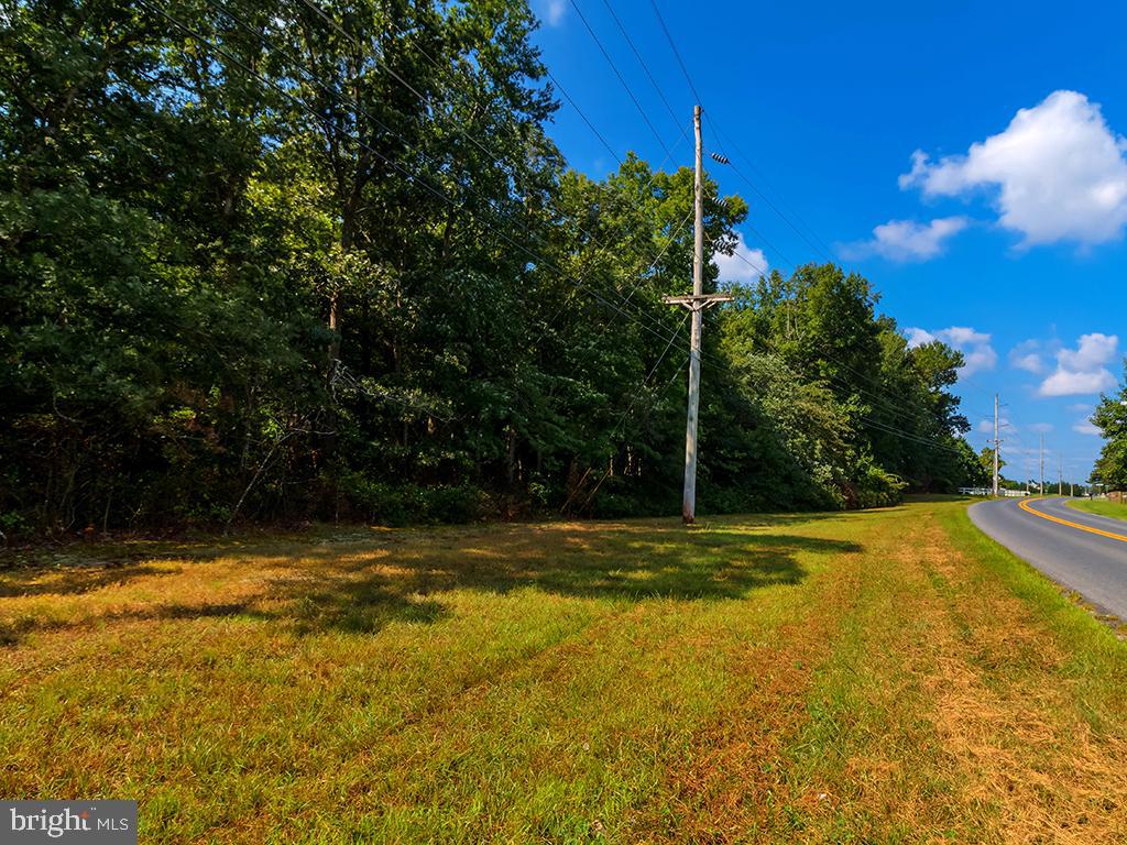 HARMONS Hl Rd MILLSBORO, DE 19966