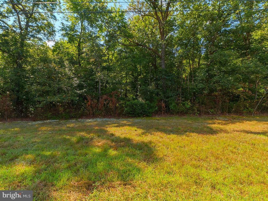 HARMONS Hl Rd MILLSBORO, DE 19966