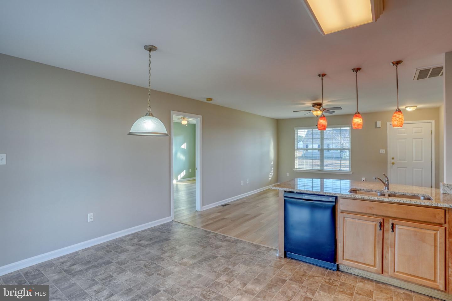 21155 SAND DOLLAR Trl LEWES, DE 19958