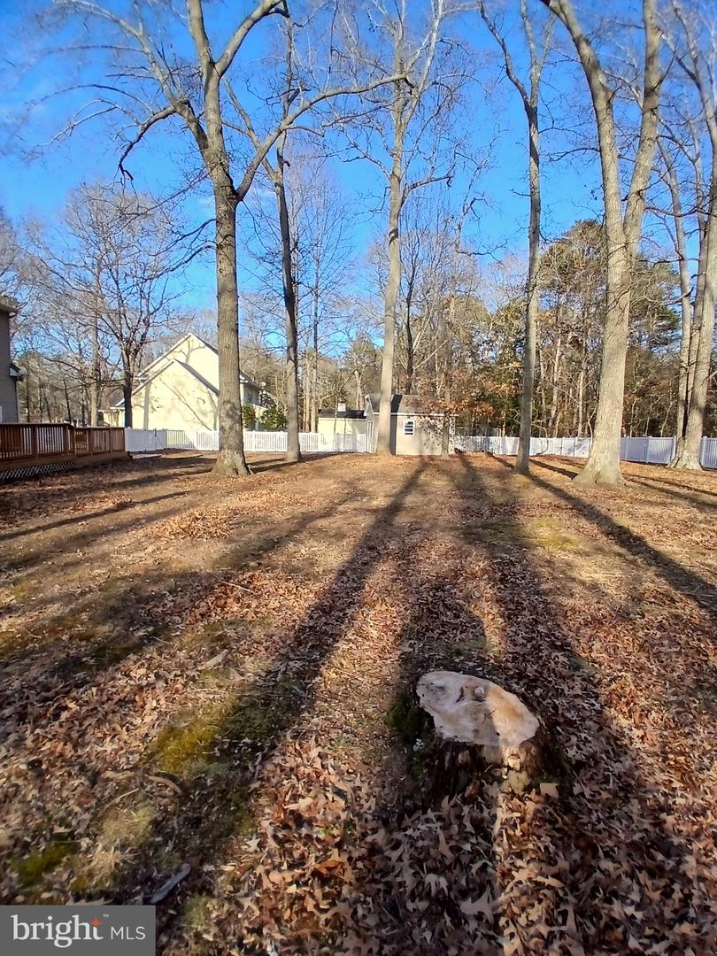 18 GREYSTONE Dr LEWES, DE 19958