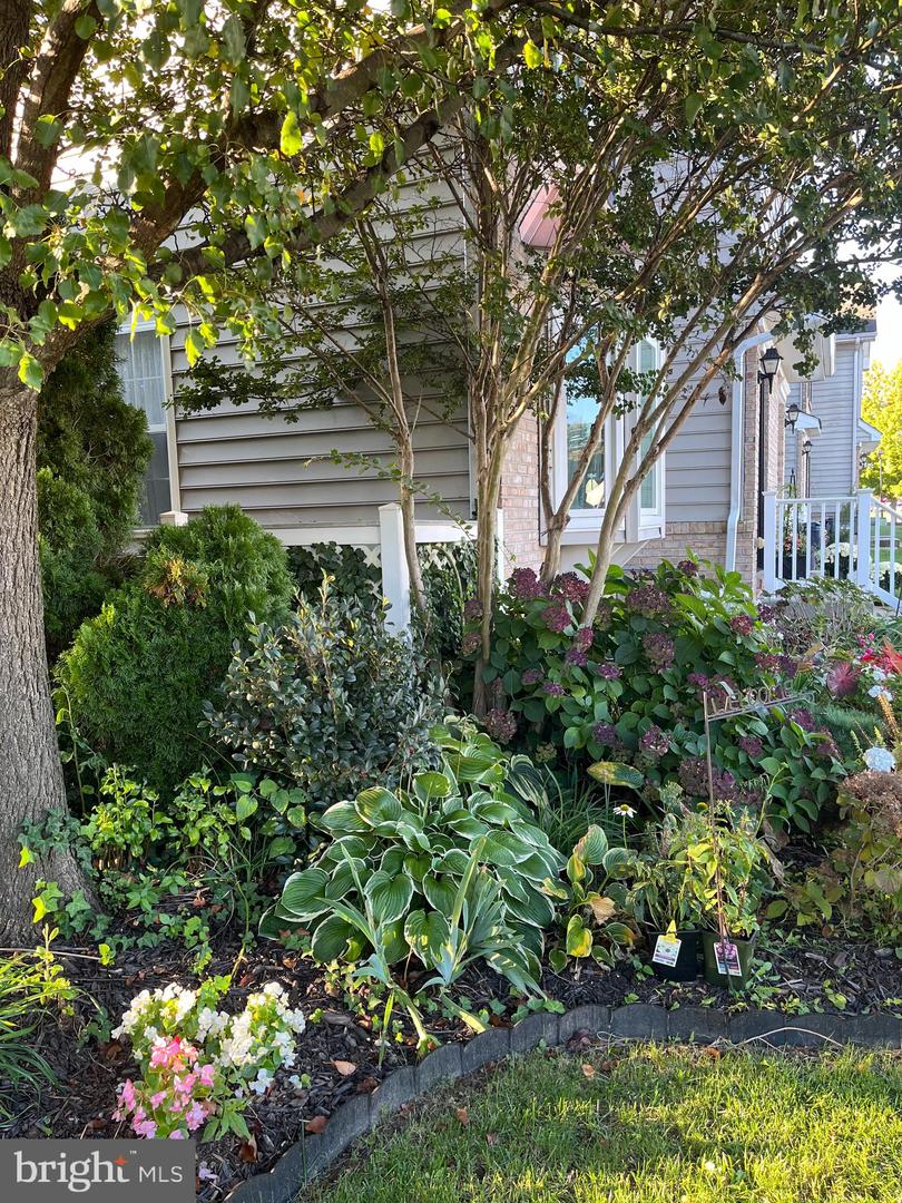 32 SALERNO Dr SMYRNA, DE 19977