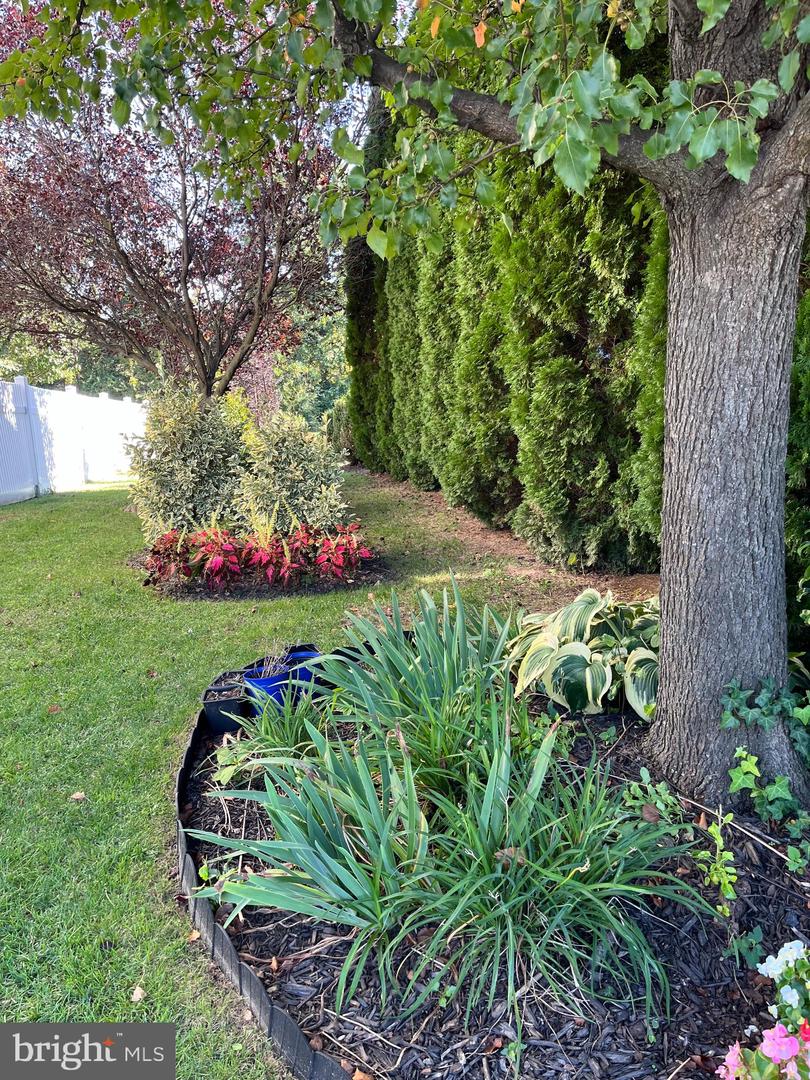 32 SALERNO Dr SMYRNA, DE 19977