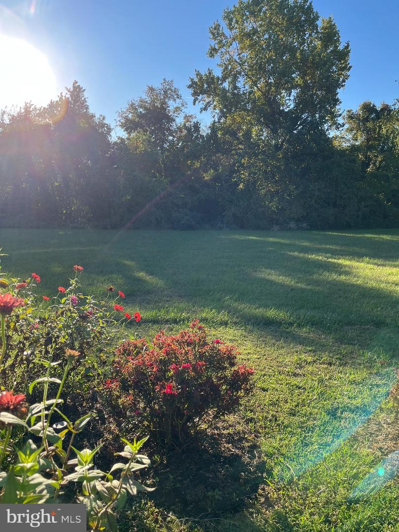 32 SALERNO Dr SMYRNA, DE 19977