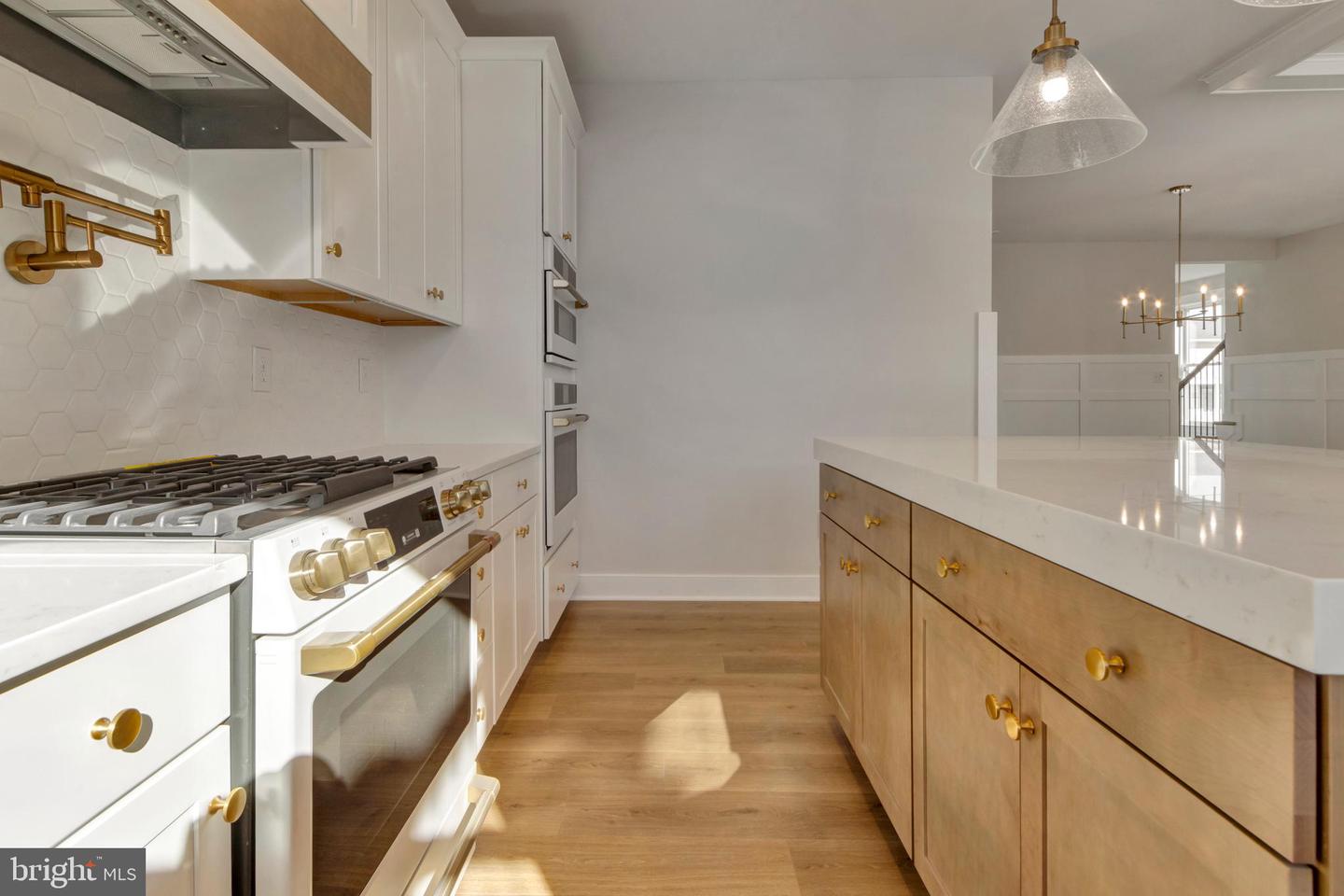 24 W ATLANTIC St FENWICK ISLAND, DE 19944