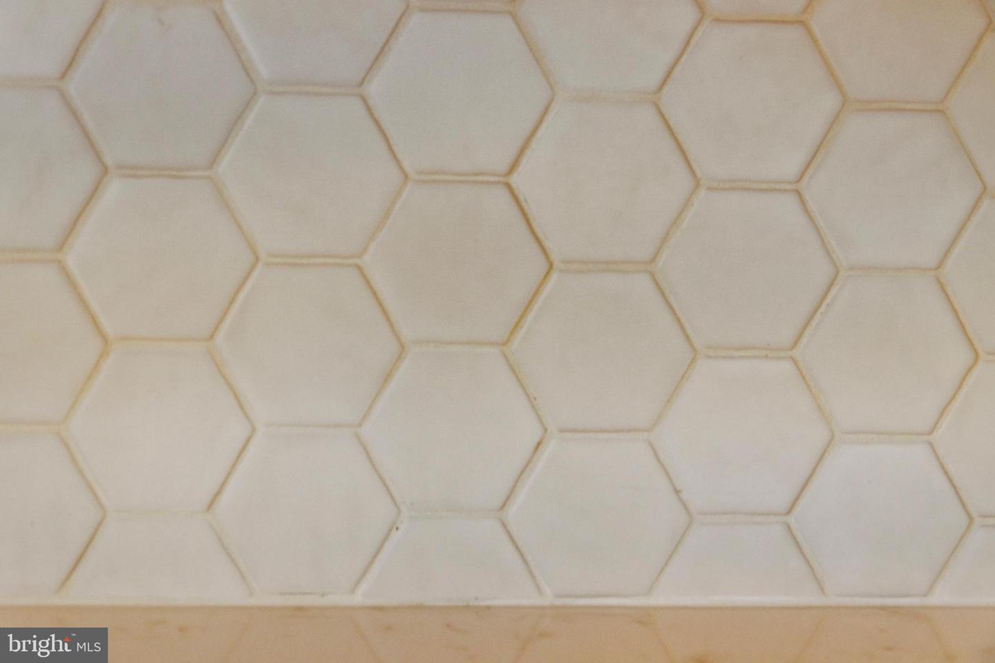 24 W ATLANTIC St FENWICK ISLAND, DE 19944