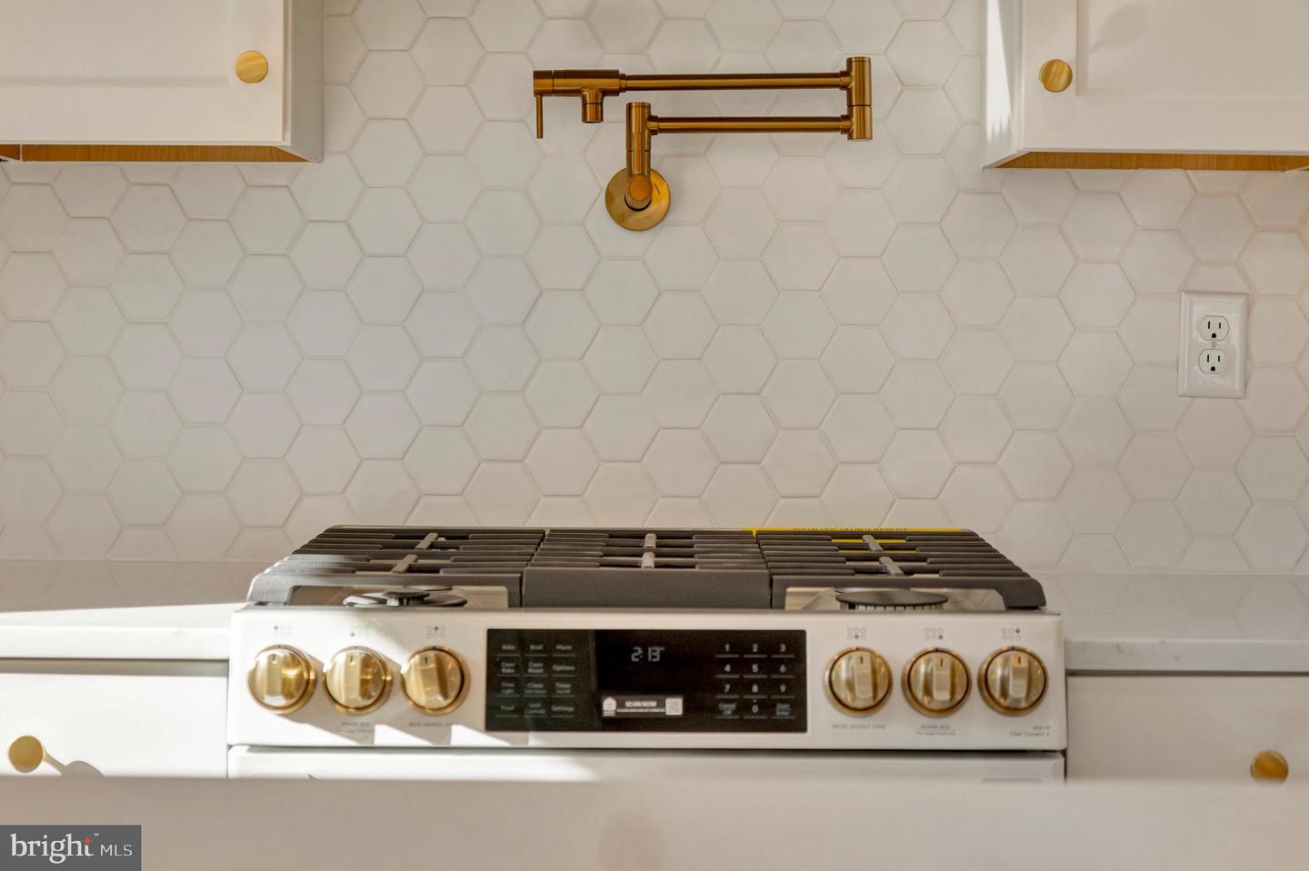 24 W ATLANTIC St FENWICK ISLAND, DE 19944