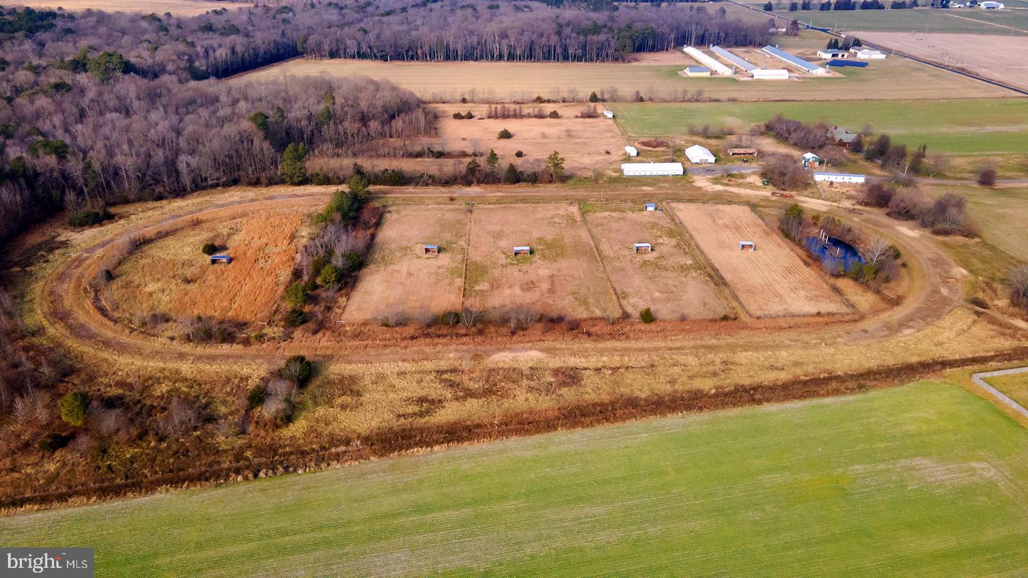 6485 EPWORTH CHURCH Rd BRIDGEVILLE, DE 19933