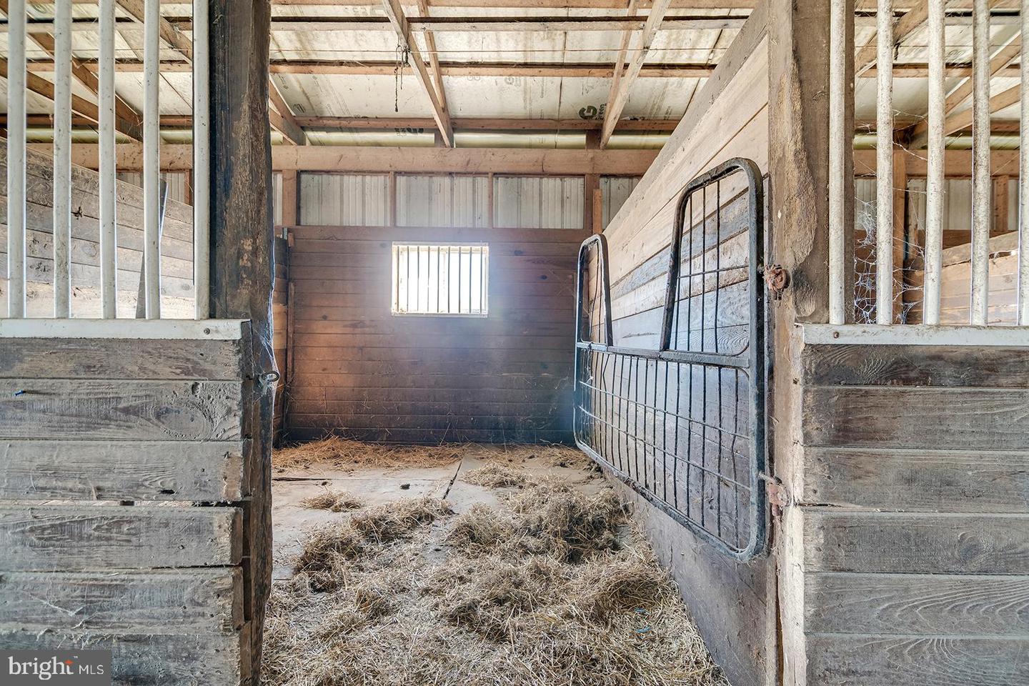 6485 EPWORTH CHURCH Rd BRIDGEVILLE, DE 19933