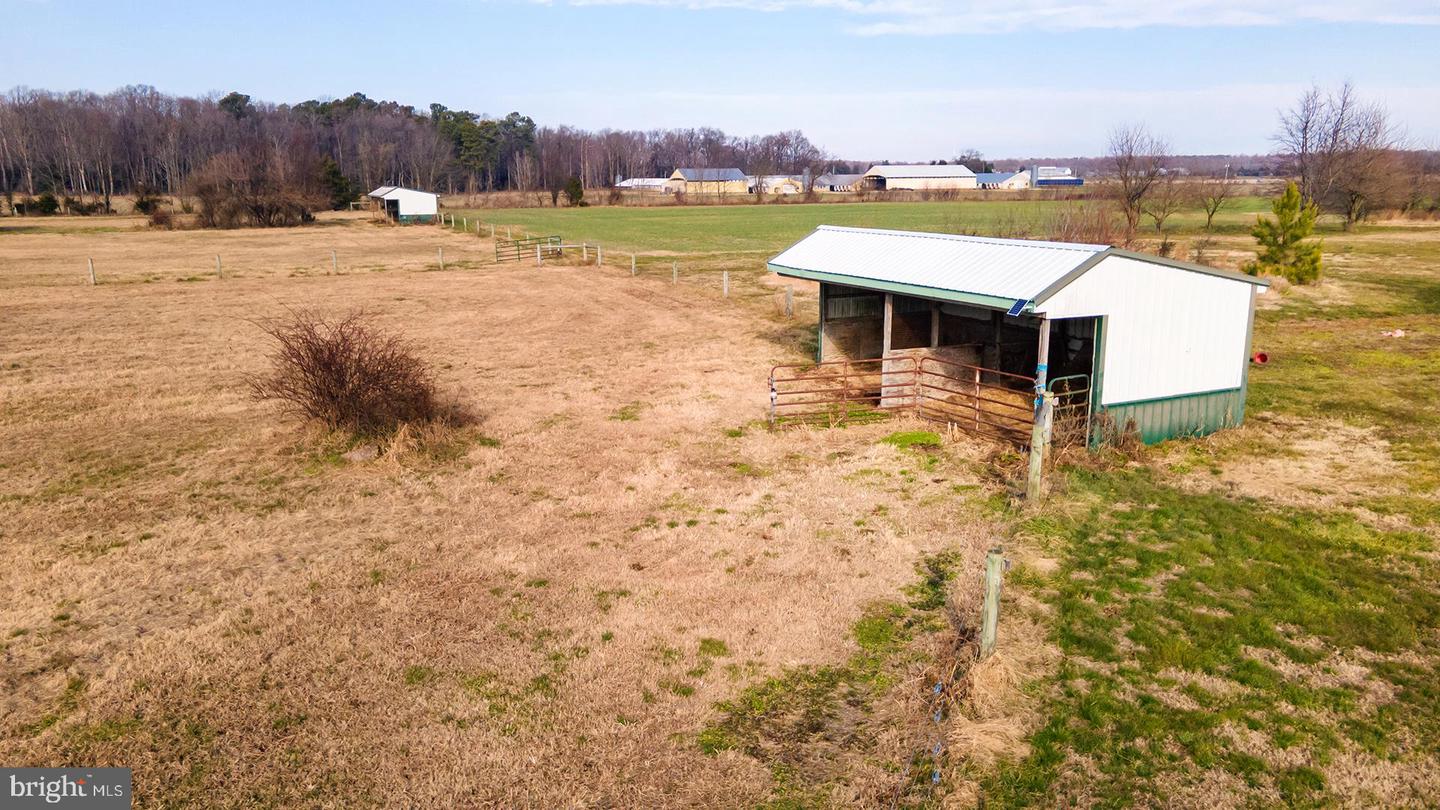 6485 EPWORTH CHURCH Rd BRIDGEVILLE, DE 19933