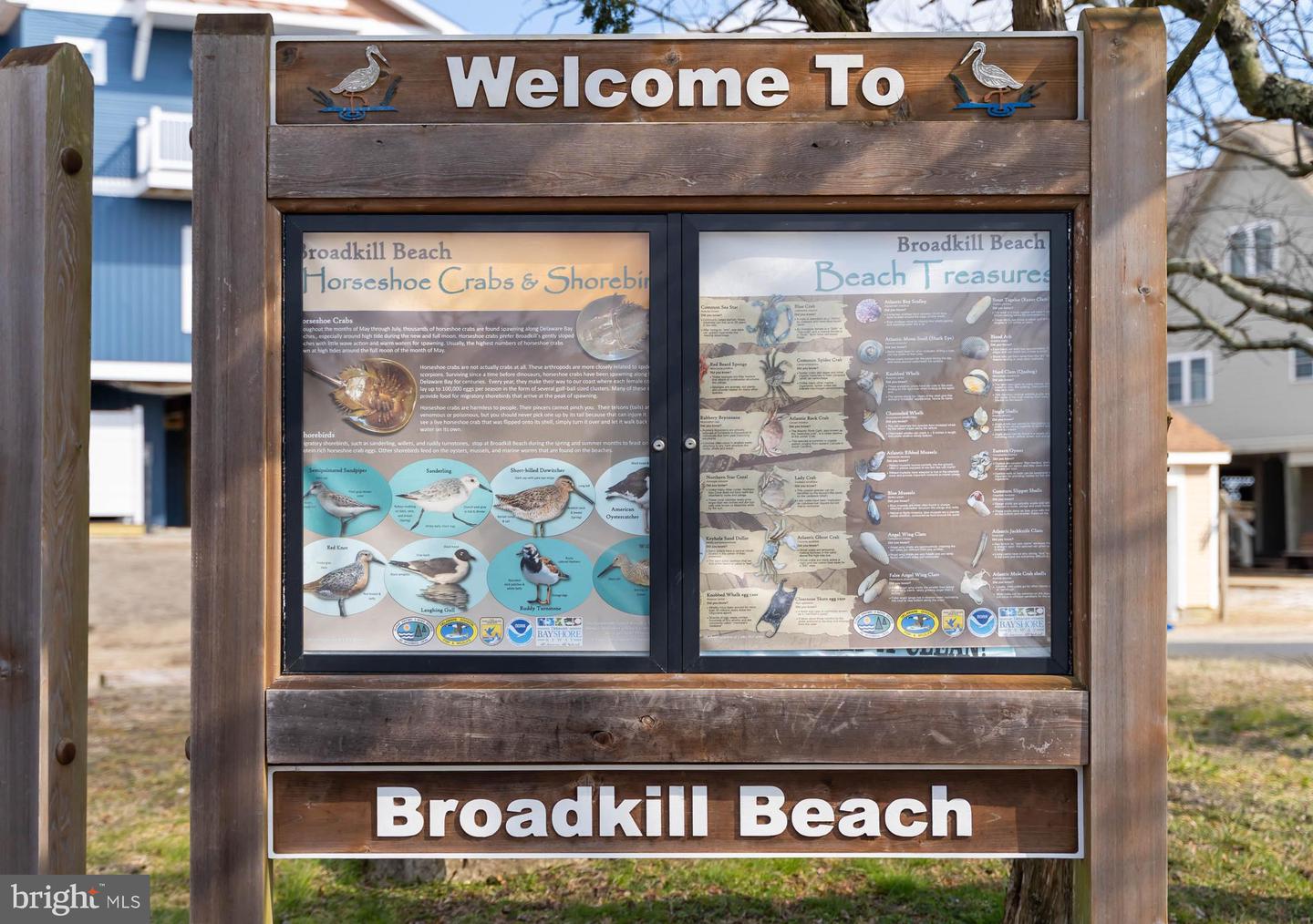 2851 S BAY Shr Dr MILTON, DE 19968