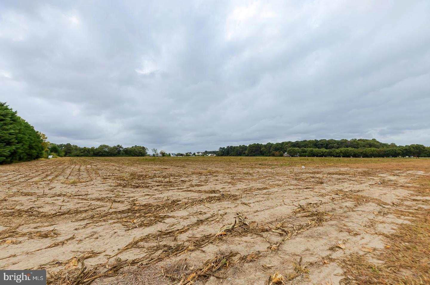 20450 ELKS LODGE Rd LINCOLN, DE 19960