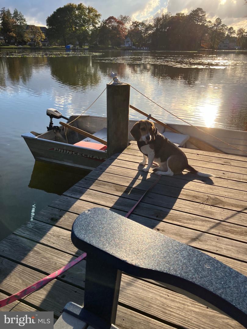 31394 Pt Cir LEWES, DE 19958