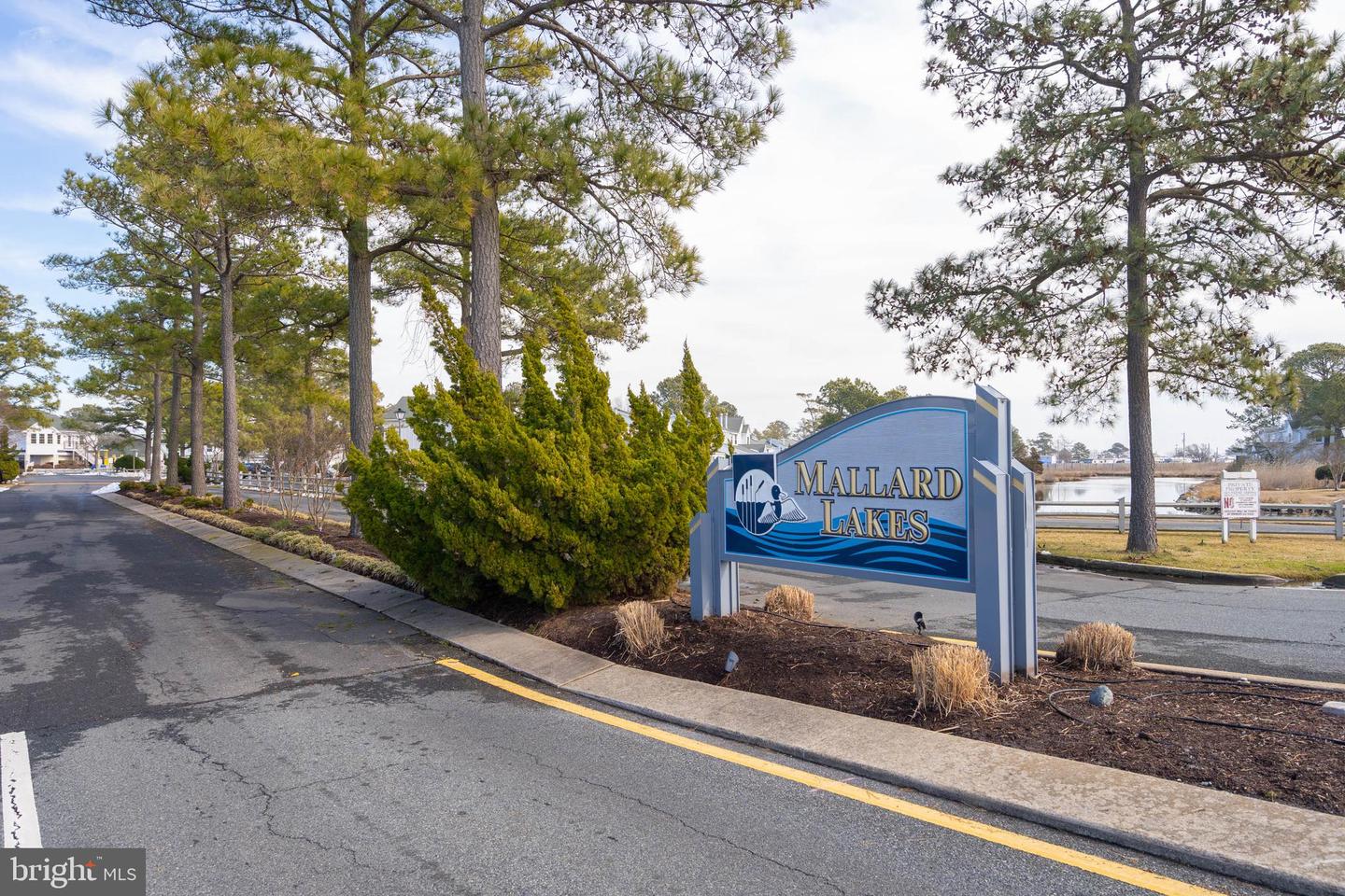 38256 HUMMINGBIRD Ln #214 SELBYVILLE, DE 19975